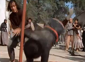 kung fu throw