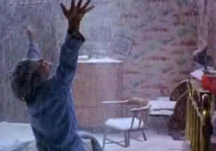 silent snow, secret snow