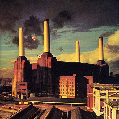 pink floyd animals