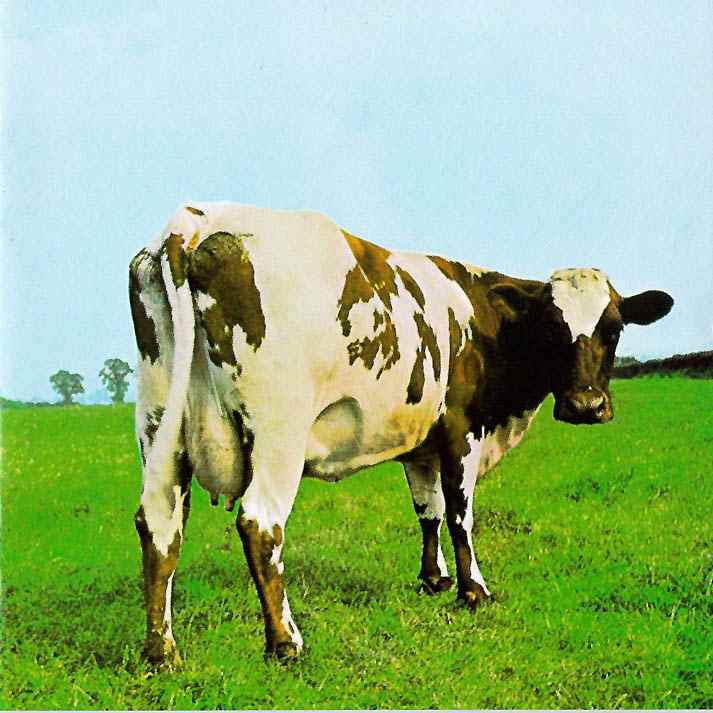 atom heart mother