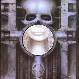 brain salad surgery